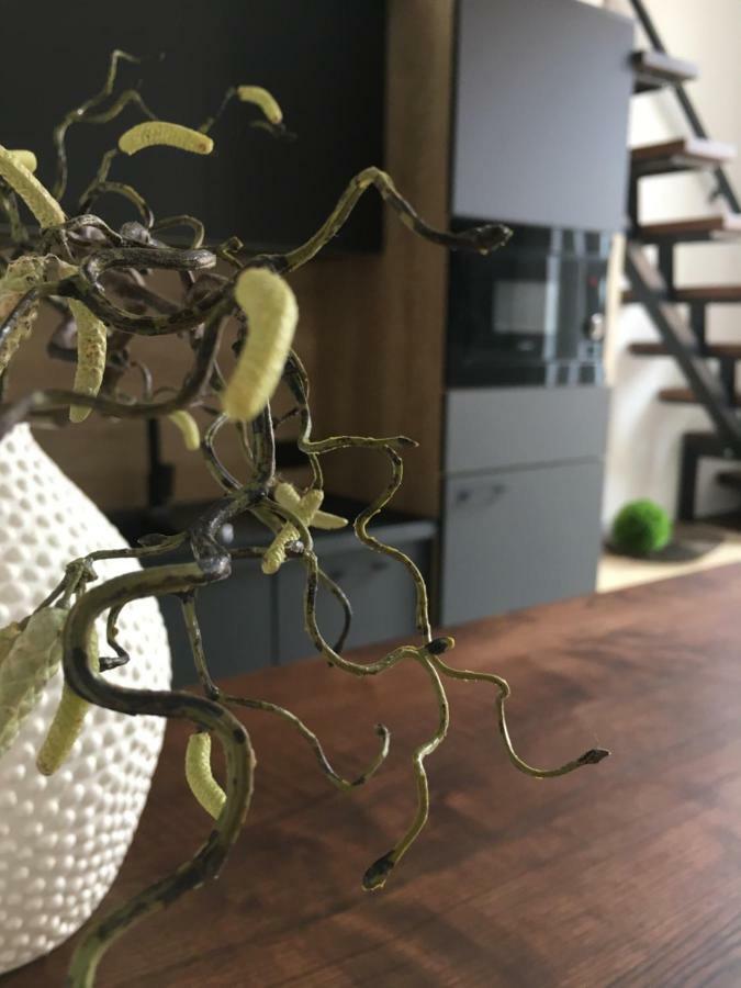 Goodmood Apartment Дебрецен Екстериор снимка